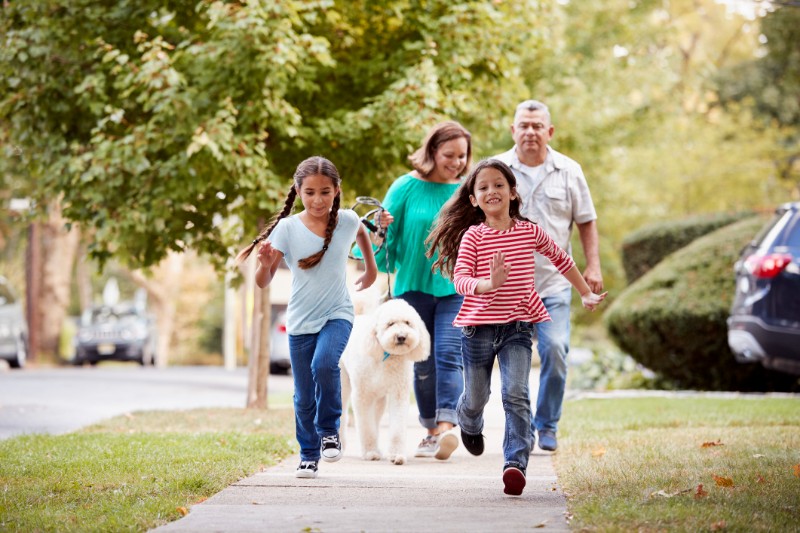 Grandparents And Granddaughters Walking Dog Along Street